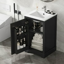 Euroco 20" Bathroom Vanity with Sink, Bathroom Cabinet with Soft Closing Door, Storage Rack and Adjustable Shelve, Black(Old SKU:N725P194160B)