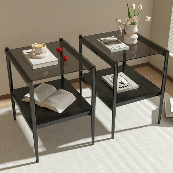 Euroco Set of 2 Rectangle End Table, Tempered Glass Tabletop with MDF layer, Modern Table for Living Room , Gray Glass