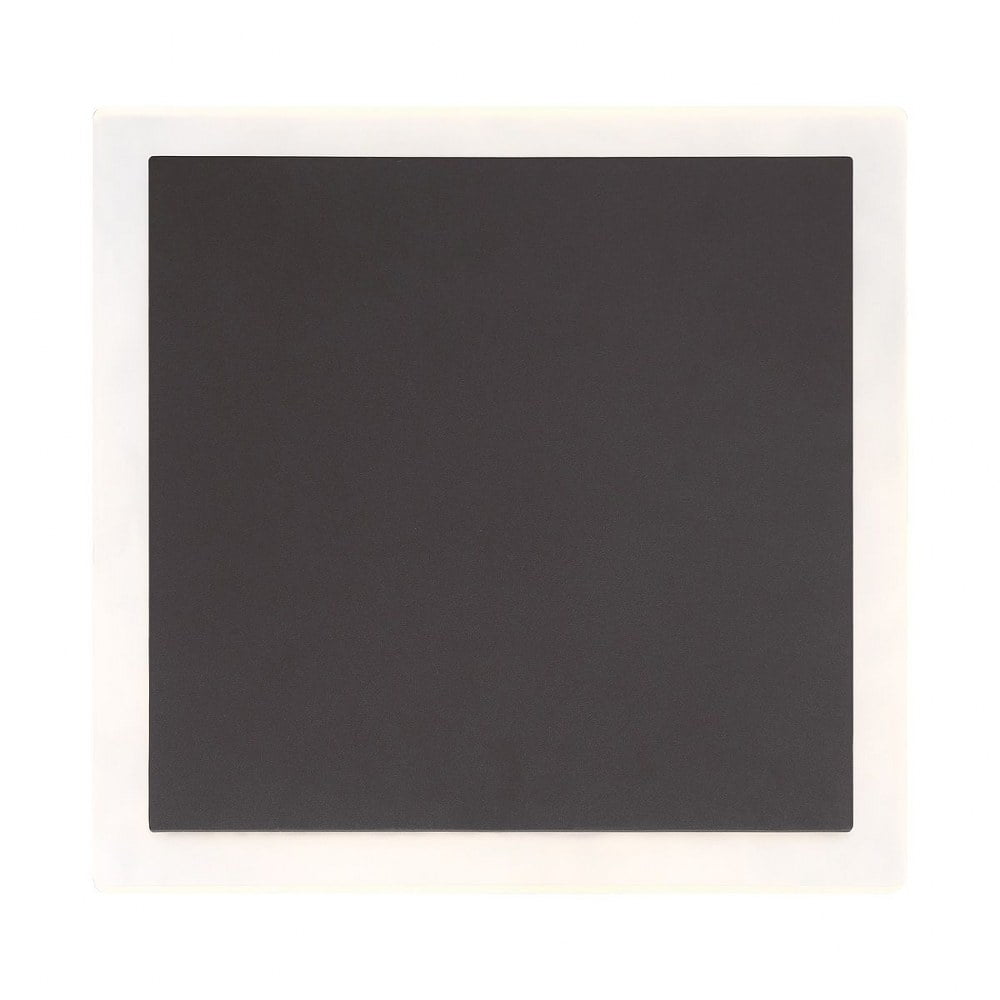 Graphite Grey Opal Glass LED Outdoor Wall Sconce