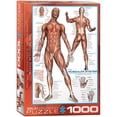 thumbnail image 1 of Eurographicspuzzles - Muscular System - Jigsaw Puzzle - 1000 Pieces, 1 of 4