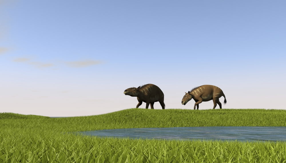 Eurohippus grazing along a swamp Canvas Art - Kostyantyn IvanyshenStocktrek Images (38 x 22)