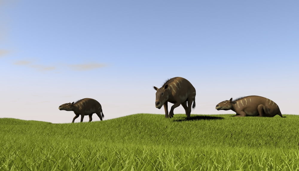Eurohippus grazing prehistoric grasslands Canvas Art - Kostyantyn IvanyshenStocktrek Images (38 x 22)