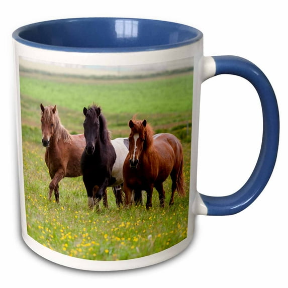 3drose, Europe, Iceland, Icelandic Horses Enjoy a Wildflower Strewn Field., 15oz Two-tone Blue Mug