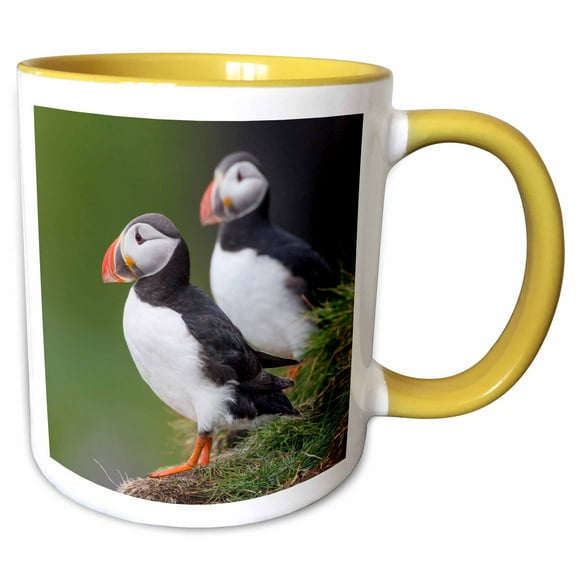 3drose, Europe, Iceland, Westfjords. a Group of Atlantic Puffins on Hillside., 15oz Two-tone Yellow Mug