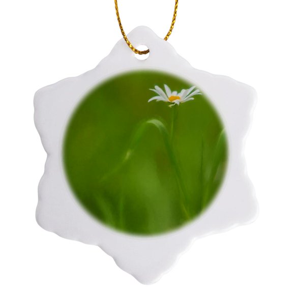 3drose, Europe, Ireland. Daisy and Leaves., 3 inch Snowflake Porcelain Ornament