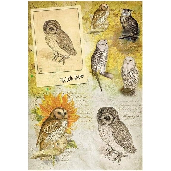 European Excellency, Vintage Bird Decoupage Paper for Furniture and Crafts, Vintage Bird Rice Paper for Decoupage, Junk Journals and Scrapbooking, Arts and Crafts Supplies, A4 (Owls - 2 Sheets)
