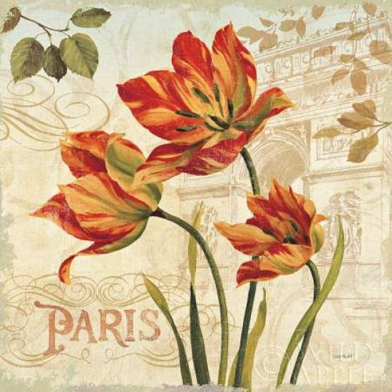 European Flowers II Canvas Art - Lisa Audit (24 x 24)