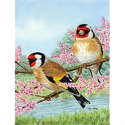 European Goldfinches Flag Garden Size