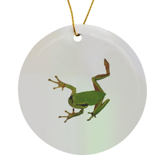 3drose, European Green Tree Frog Isolated, Circle Porcelain Ornament