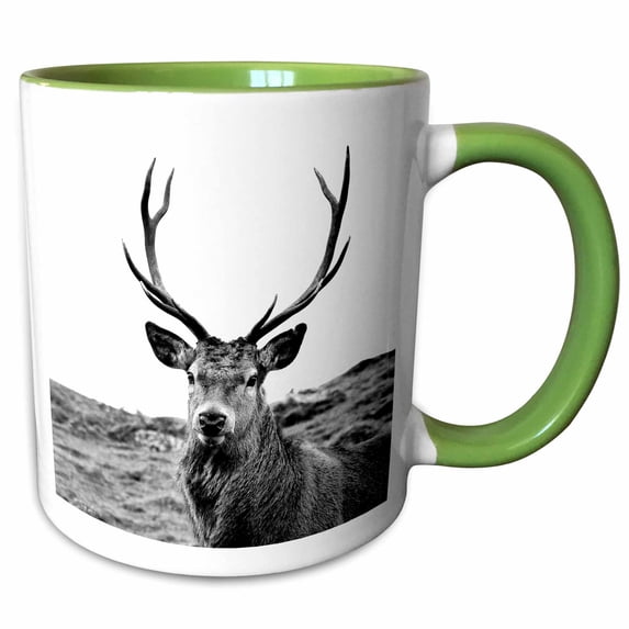 3drose, European Red Stag Photographed in the Highlands of Scotland, 15oz Two-tone Green Mug