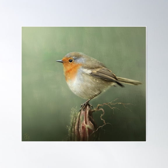 European Robin Redbreast Poster Wall Art, Modern Wall Decor For Living Room Bedroom, 24x24 UNFRAMED