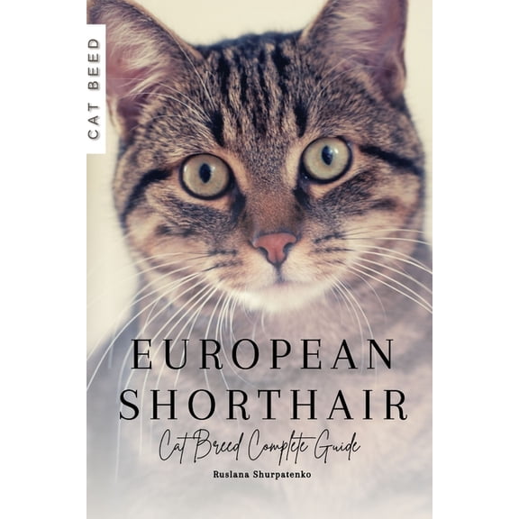 European Shorthair: Cat Breed Complete Guide (Paperback)