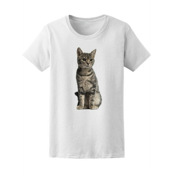 European Stripes Cat Sitting T-Shirt Women -Image by Shutterstock, Female XX-Large