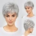 thumbnail image 1 of European Slanted Silver White Micro Curled Short Straight Synthetic Hair Wig In Stock, 1 of 5