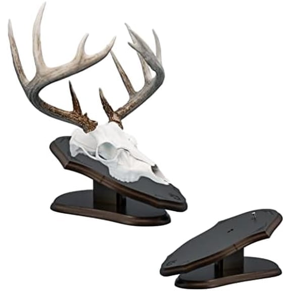 Europlaque Skull Desk/Wall Mount Display Plaque