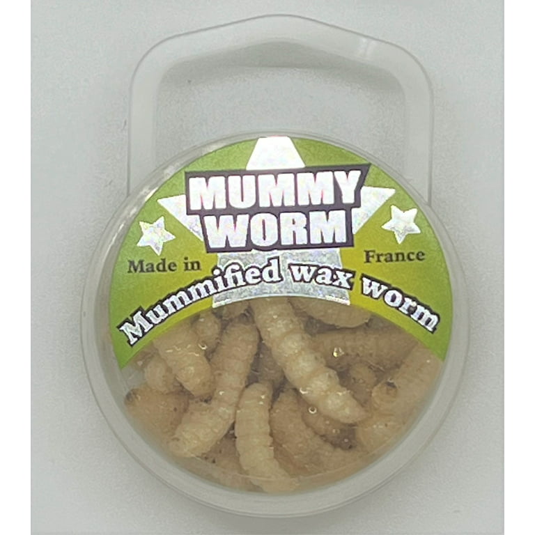 Eurotackle Mummy Worm Preserved Fishing Wax Worms - Natural, Model 00101,  35+/pack