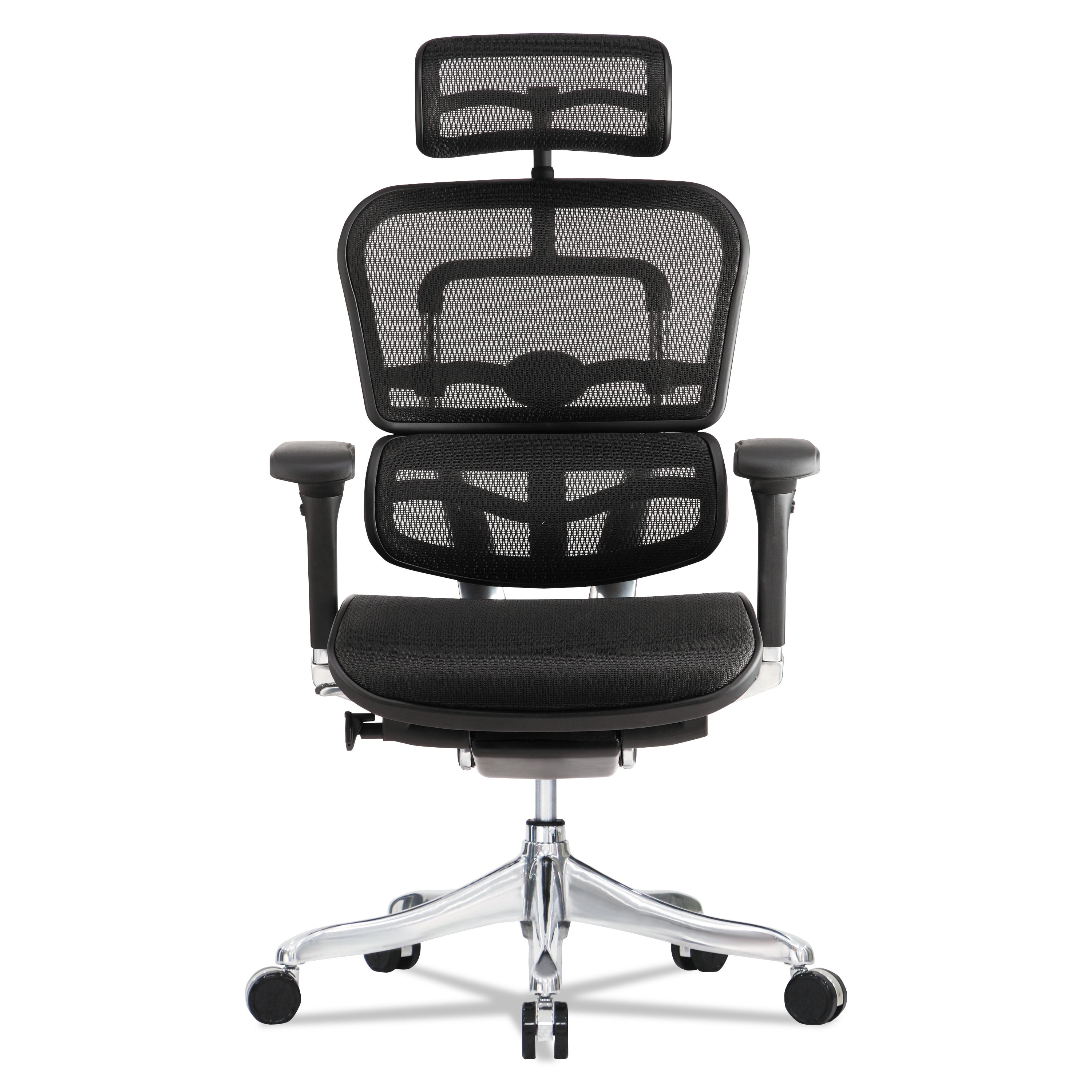 Eurotech Black Leather Ergohuman Luxury Chair