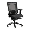 thumbnail image 1 of Eurotech Monterey All Mesh Executive Chair, 1 of 4