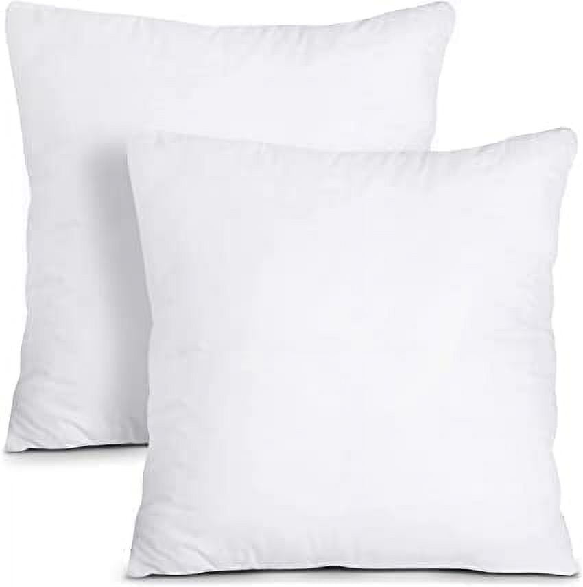 https://i5.walmartimages.com/seo/Eurotex-Microfibre-Pillow-Insert-18x18-PK-2-Polyester-Filled-Comfy-Pillow-for-Sham-Cushion-Cover-Fluffy-Sleeping-Pillow_9e792a50-23c0-4f6f-ac73-df24dc11048b.c3220c300af816fdd91ed08855435742.jpeg