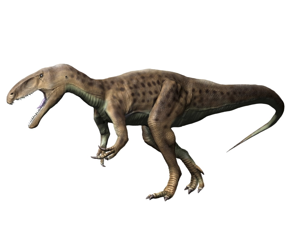 Eustreptospondylus dinosaur Canvas Art - Nobumichi TamuraStocktrek Images (17 x 13)