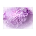 thumbnail image 1 of Eva Bane 'Dreamy Florals in Violet II' Canvas Art, 1 of 1