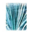 thumbnail image 1 of Eva Bane 'Greenery Essence II' Canvas Art, 1 of 3