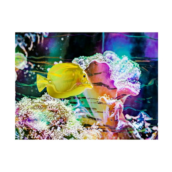 Eva Bane 'Vibrant Reef IV' Canvas Art