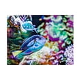 thumbnail image 1 of Eva Bane 'Vibrant Reef V' Canvas Art, 1 of 3