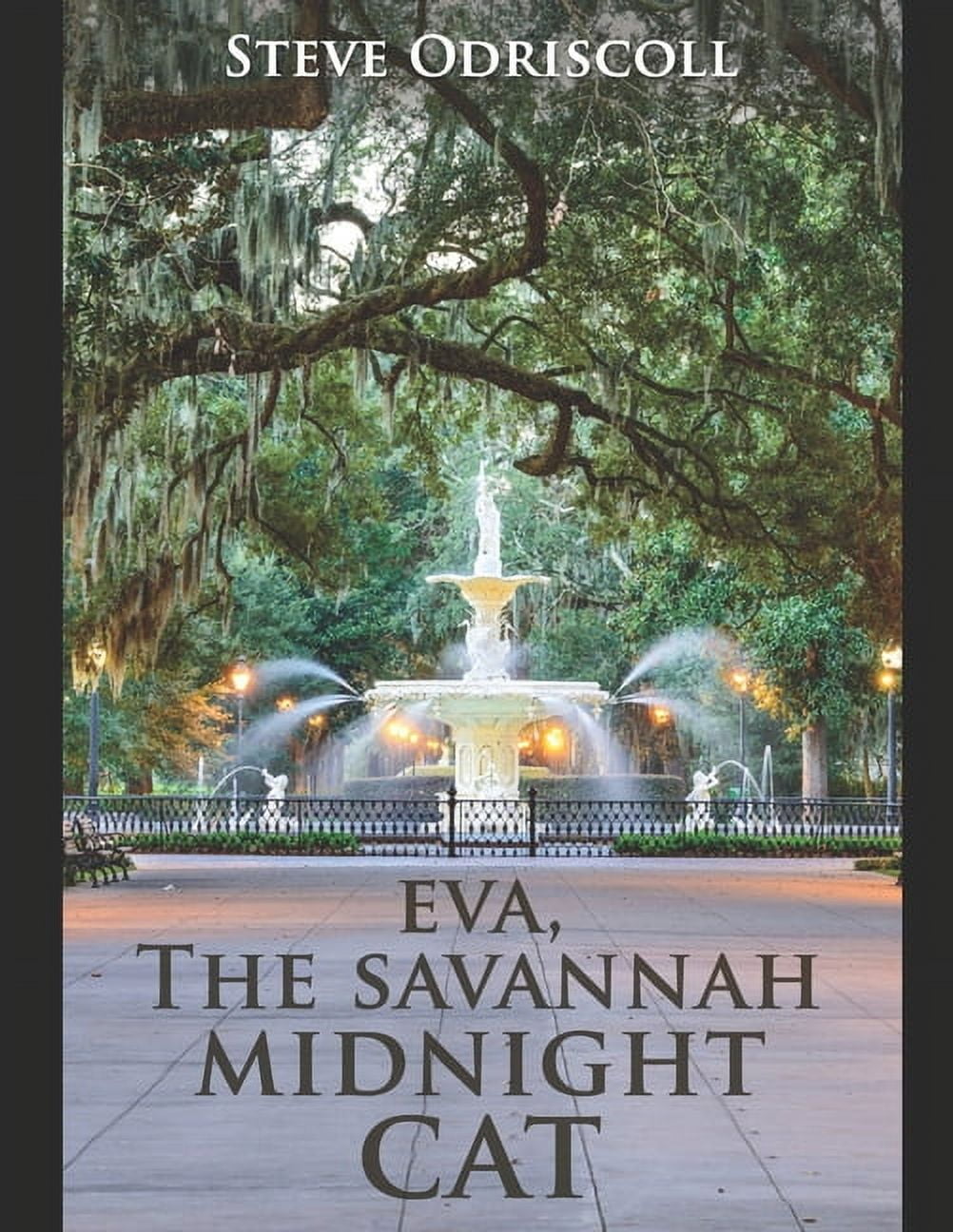 Eva, The Savannah Midnight Cat: N/A (Paperback)