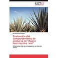 thumbnail image 1 of Evaluacion del Comportamiento de Posturas de Agave Fourcroydes LEM, 1 of 1