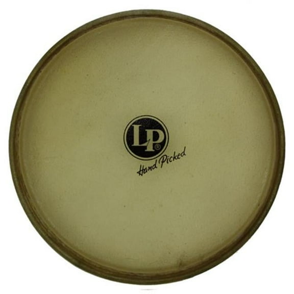 Evans Synthethic Head Requinto Z Series