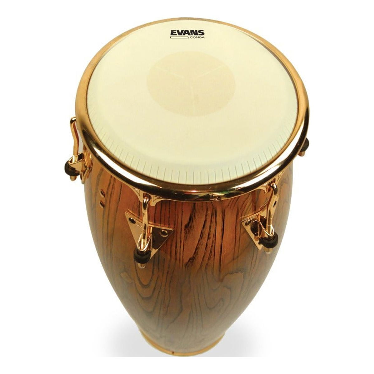 Evans Toca and LP Standard Replacement Conga Head 12.5 in.