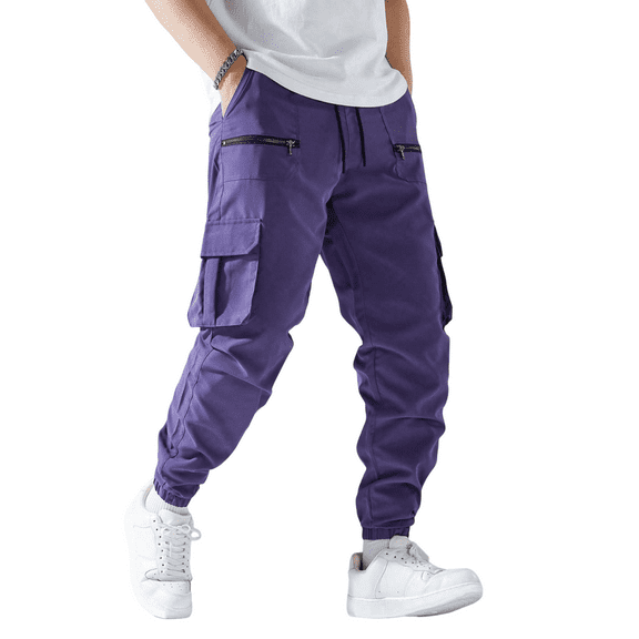 Evdexr Baggy Joggers Men Cargo Tactical Sweatpants Drawstring Tapered Outdoor Trousers Fall Zipper Pockets Straight Leg Elastic Waist Loose Fit Harem Pants Dark Purple L