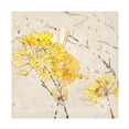 thumbnail image 1 of Evelia Designs 'Avian Dreams I' Canvas Art, 1 of 1