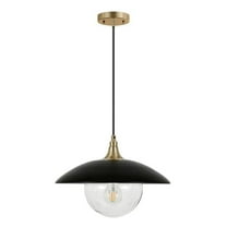 Evelyn&Zoe 14.5" Matte Black/Brass Finish Metal/Glass Pendant