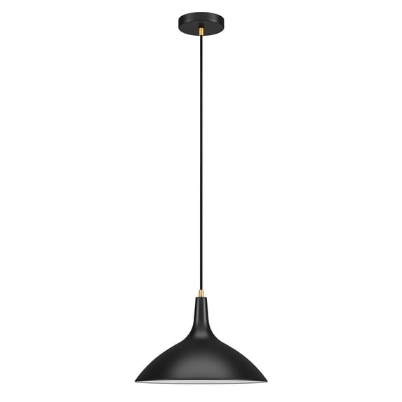 Evelyn&Zoe 14" Matte Black/Brass Metal Pendant