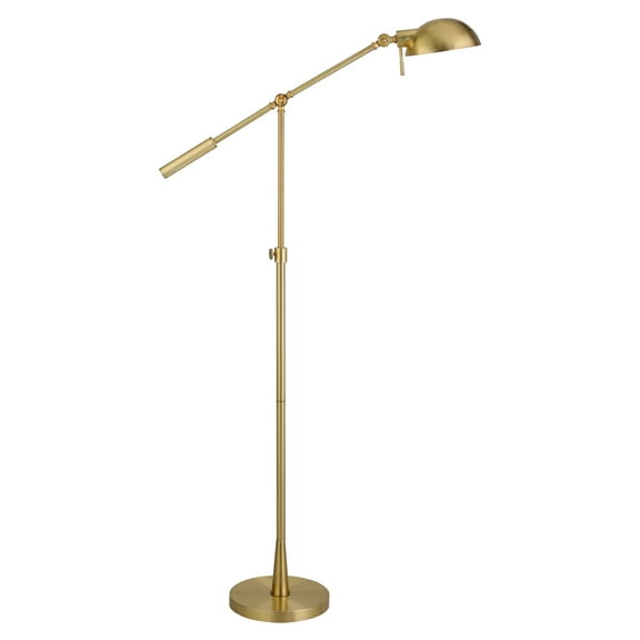 Evelyn&Zoe Dexter Height Adjustable/Tilting Floor Lamp with Metal shade in Brushed Brass/Brushed Brass