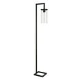 thumbnail image 1 of Evelyn&Zoe Malva 67.75" Tall Floor Lamp with Glass shade in Blackened Bronze/Clear, 1 of 12