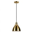 thumbnail image 1 of Evelyn&Zoe Modern Metal Pendant, 1 of 11