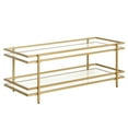 thumbnail image 1 of Evelyn&Zoe Robillard 45" Wide Rectangular Coffee Table in Brass, 1 of 9
