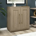 thumbnail image 1 of Evelyn&Zoe Tillman 28" Wide Rectangular Accent Cabinet, Antiqued Gray Oak, 1 of 12