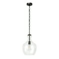 thumbnail image 1 of Evelyn&Zoe Verona 11" Wide Pendant with Glass Shade in Blackened Bronze/Clear, 1 of 15