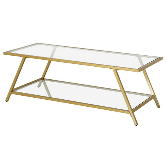 Evelyn&Zoe Yair 48" Wide Rectangular Coffee Table in Brass