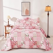 Evenhug Quilts 2-Piece Pink Patchwork Floral Quilt Set With Shams
