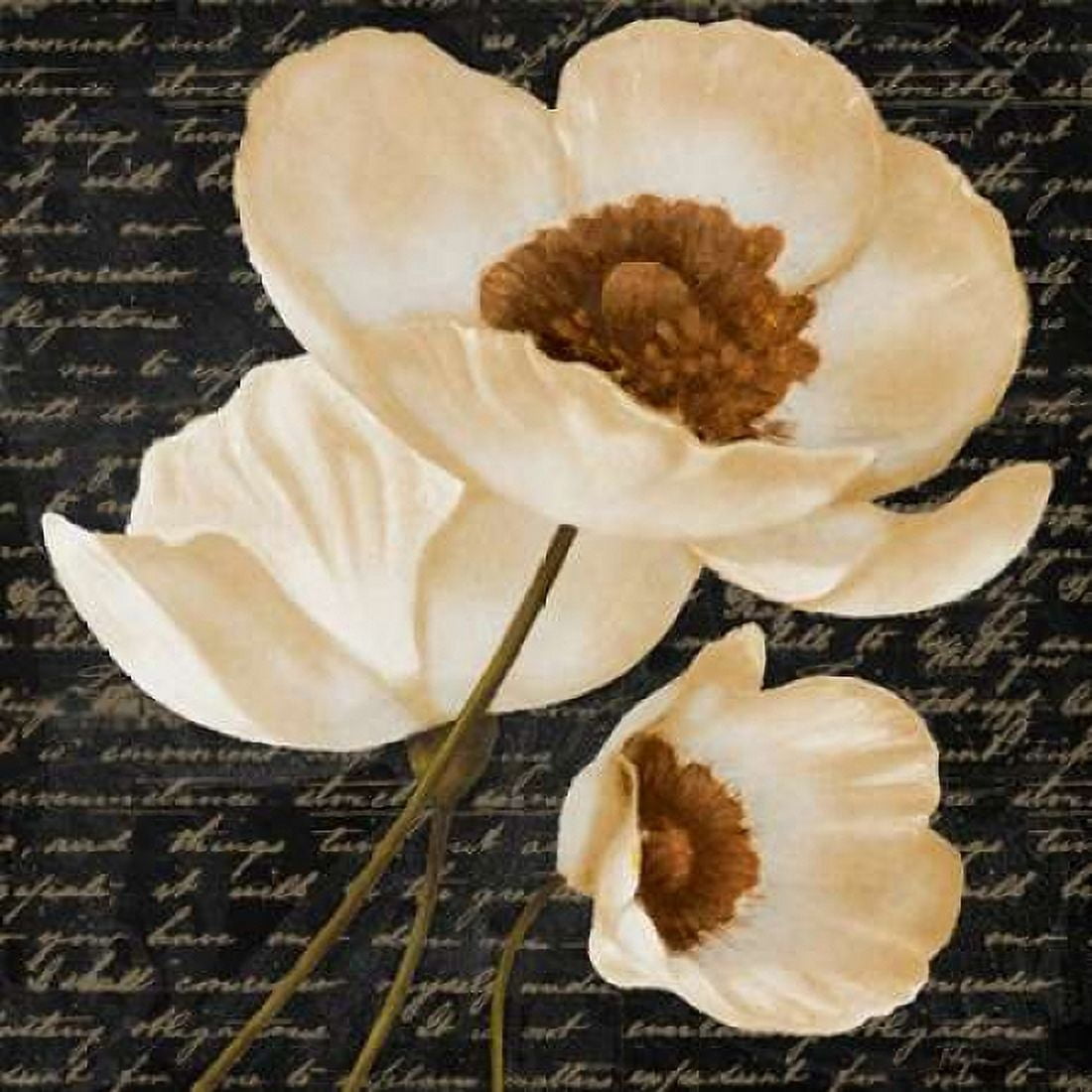 Evening Bloom I Canvas Art - Vivien Rhyan (24 x 24)