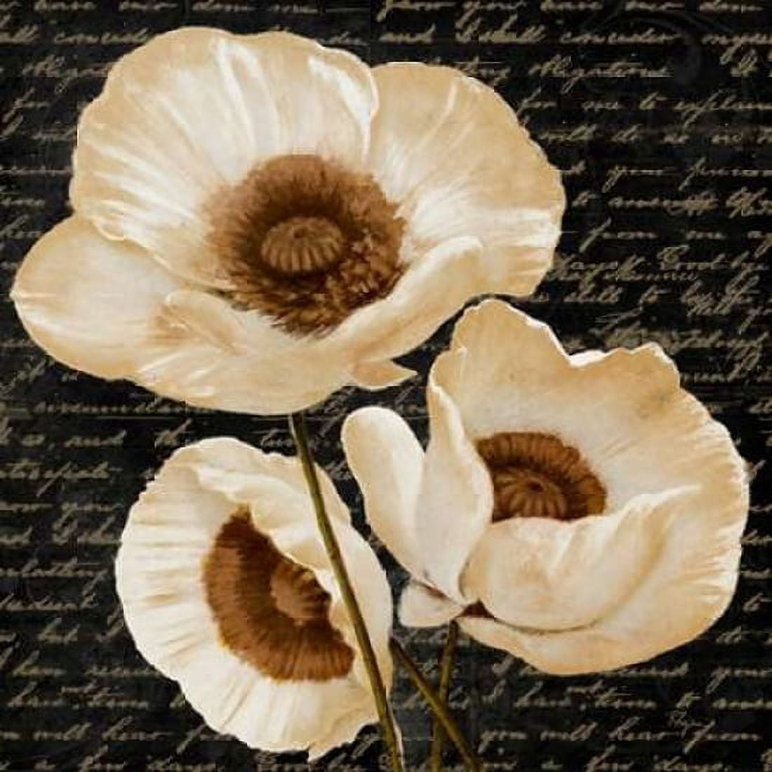 Evening Bloom II Canvas Art - Vivien Rhyan (24 x 24)