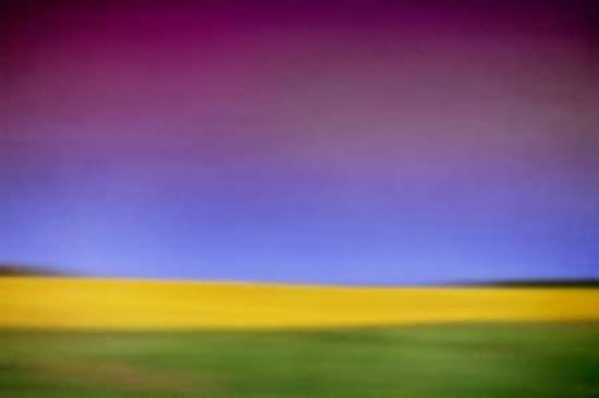 Evening Canola Canvas Art - Roberta Murray (12 x 18)