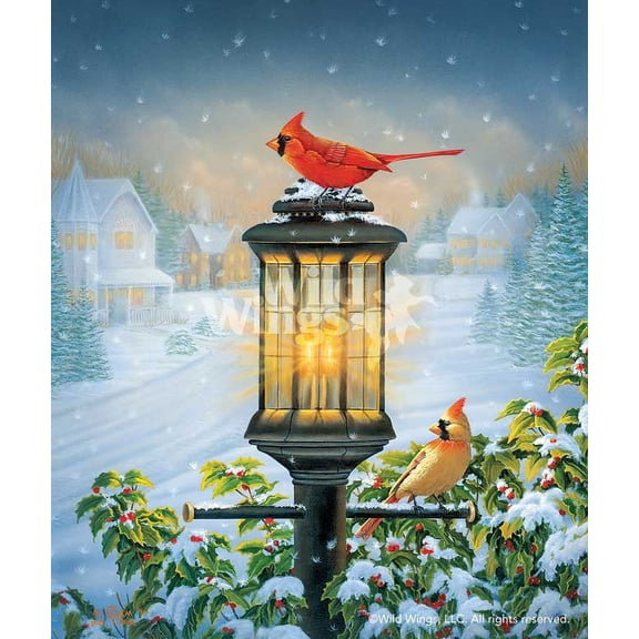 Evening GlowCardinals