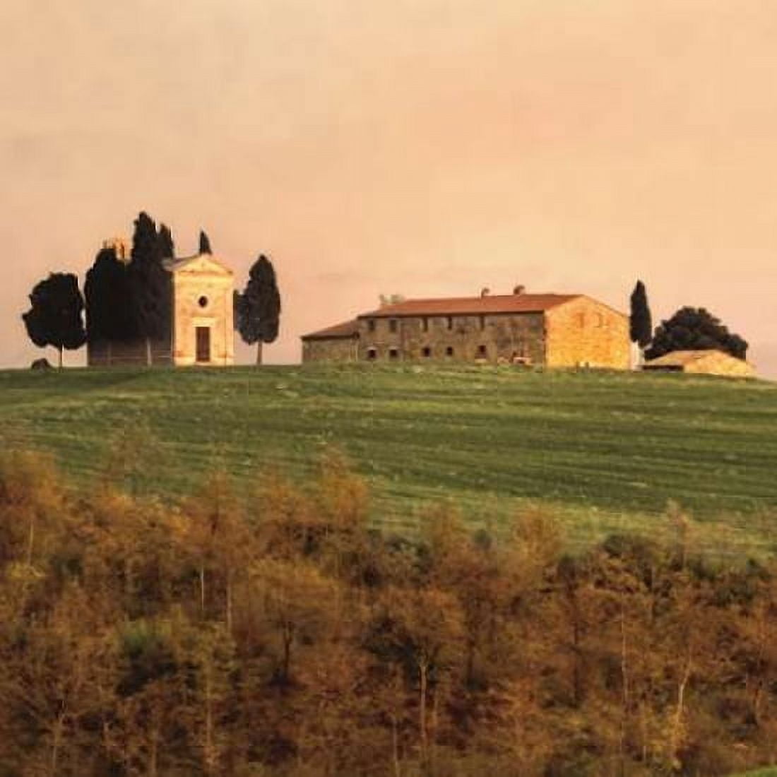 Evening Light Tuscany Canvas Art - Elizabeth Carmel (24 x 24)