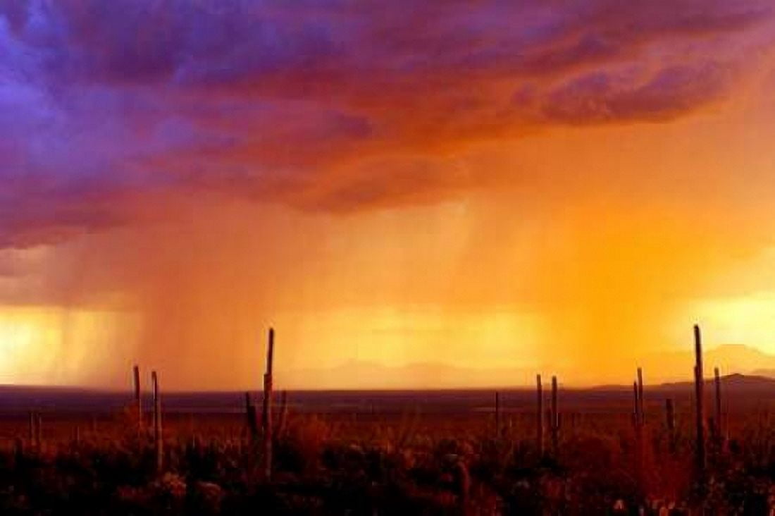 Evening Rain Canvas Art - Douglas Taylor (12 x 18)